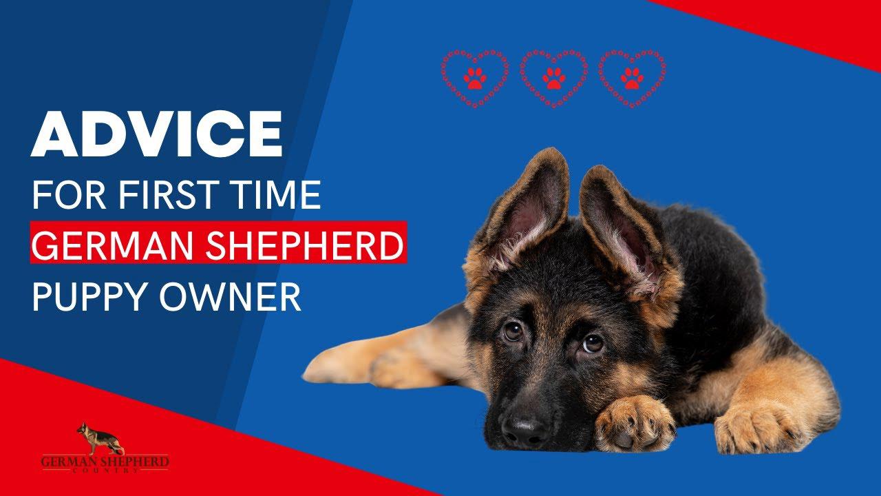 'Video thumbnail for Advice for First Time German Shepherd Puppy Owner'