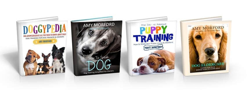 Amy Morford Dog Training Books