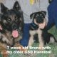 Bruno's Blog