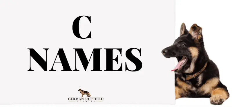 dog names that start with c
