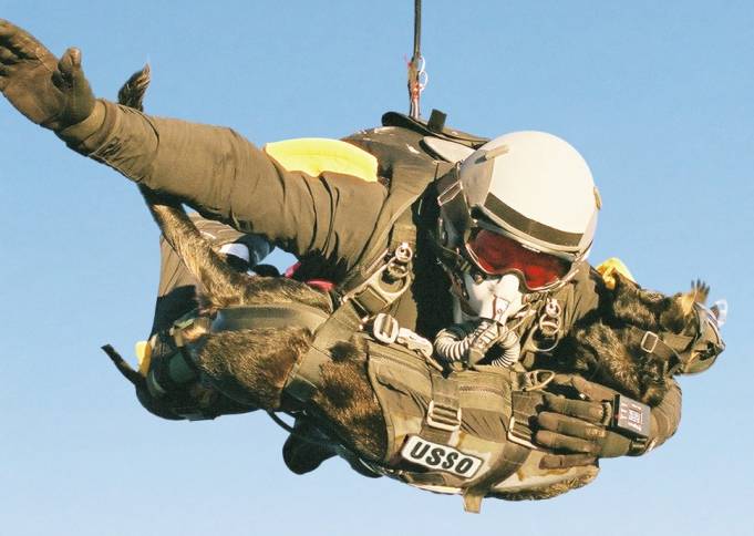 belgian malinois in a tandem parachute jump