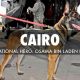 Belgian Malinois Cairo the War Dog
