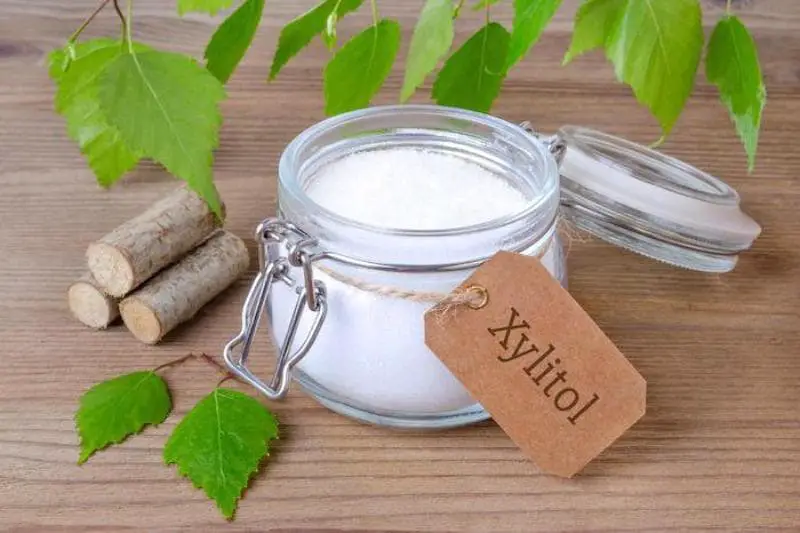 Xylitol What is it and why is it Dangerous for Your Dog German