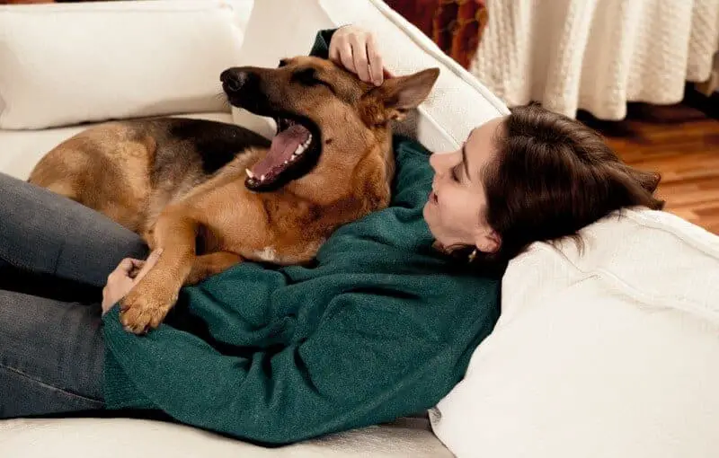 Do German Shepherd Owners Love their Dogs More than People? | German ...