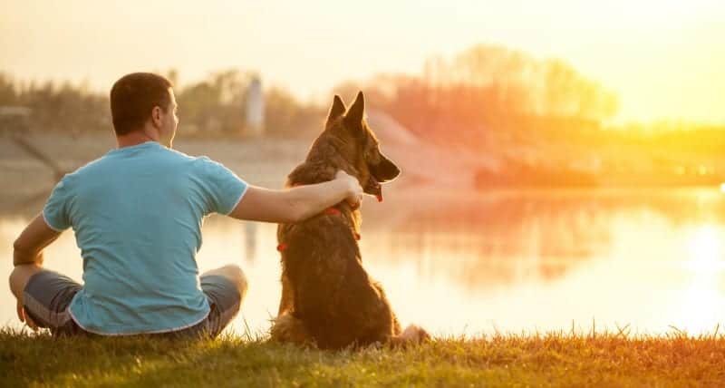 German Shepherd and Man Watching Sunset