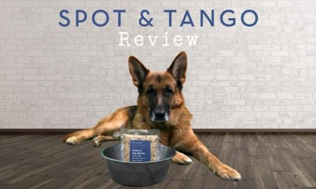 Spot and Tango Review