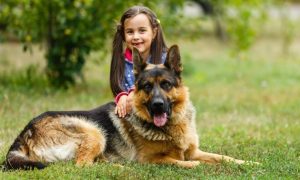 german shepherd with girl