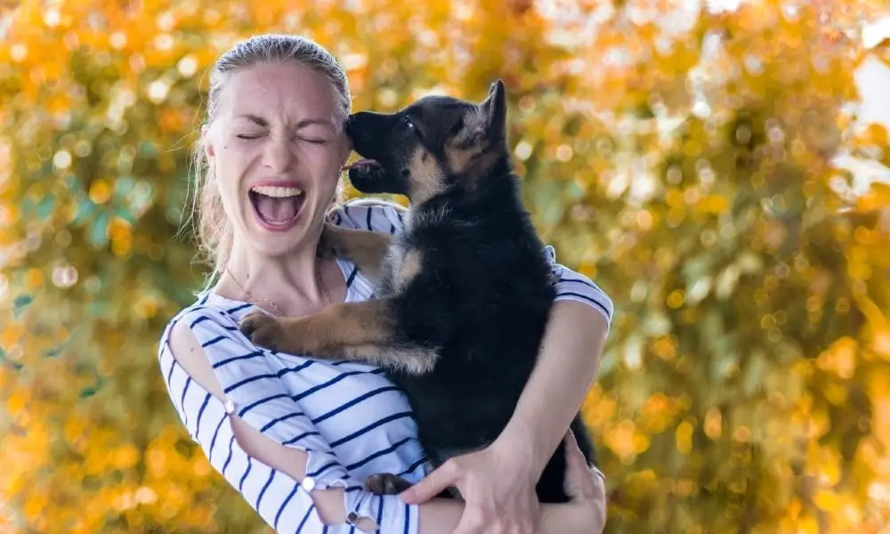 Puppy Biting: How to Stop Puppy Biting | German Shepherd Country