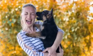 puppy biting
