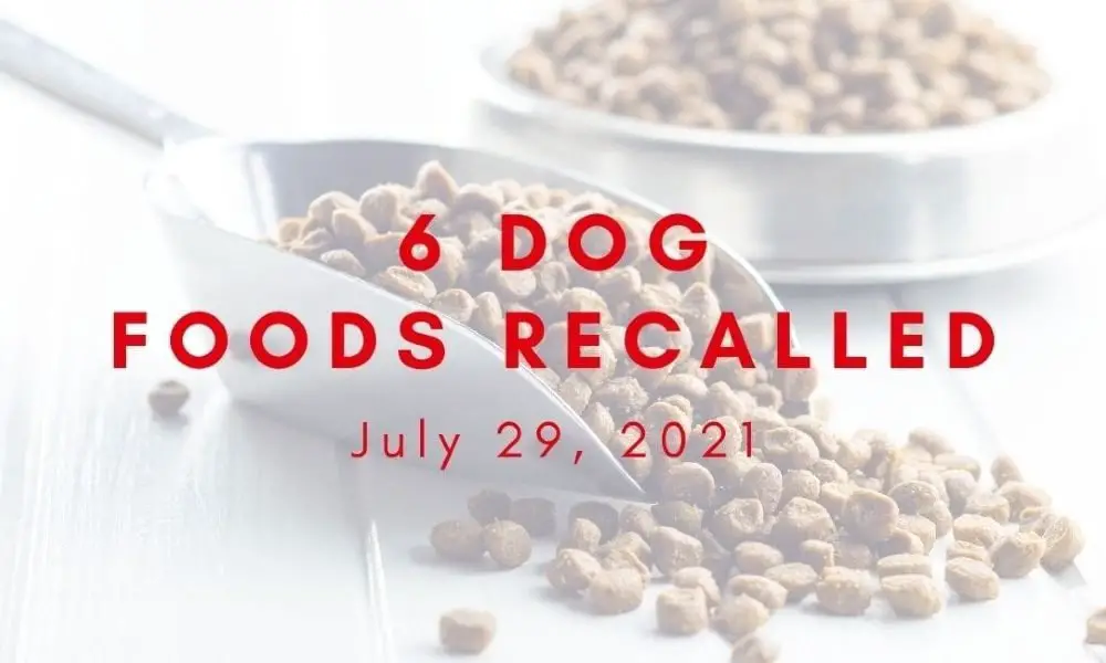 heart to tail dog food recall