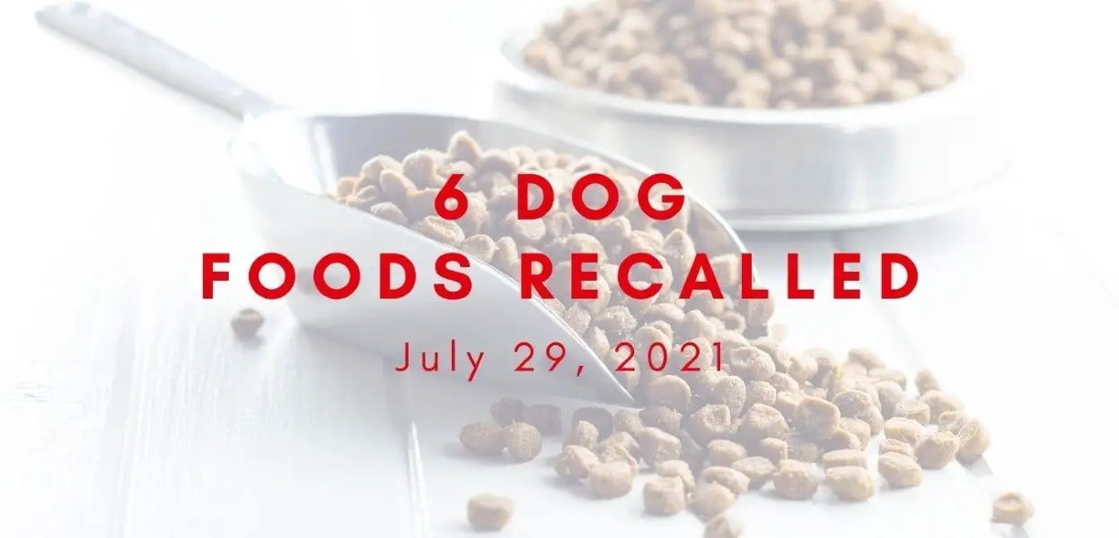 dog foods recalled