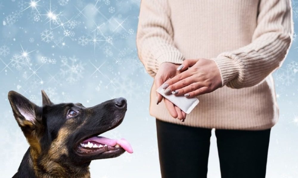 Hand Warmers are Poisonous to Dogs | German Shepherd Country