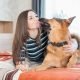 german shepherd mamas boy