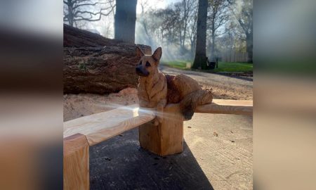 german shepherd carvings