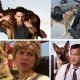 hollywood dogs
