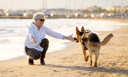 dog owners