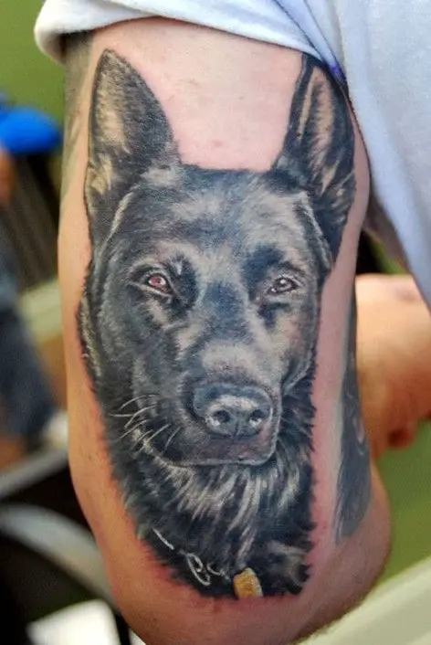 german shepherd elbow tattoo