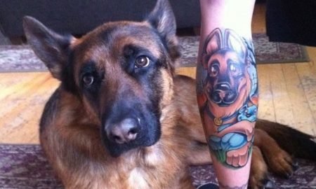 german shepherd tattoos